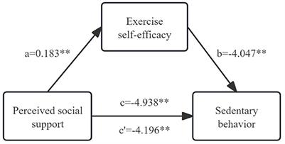 Perceived social support on objective measured sedentary behavior of stroke patients: the mediating role of exercise self-efficacy